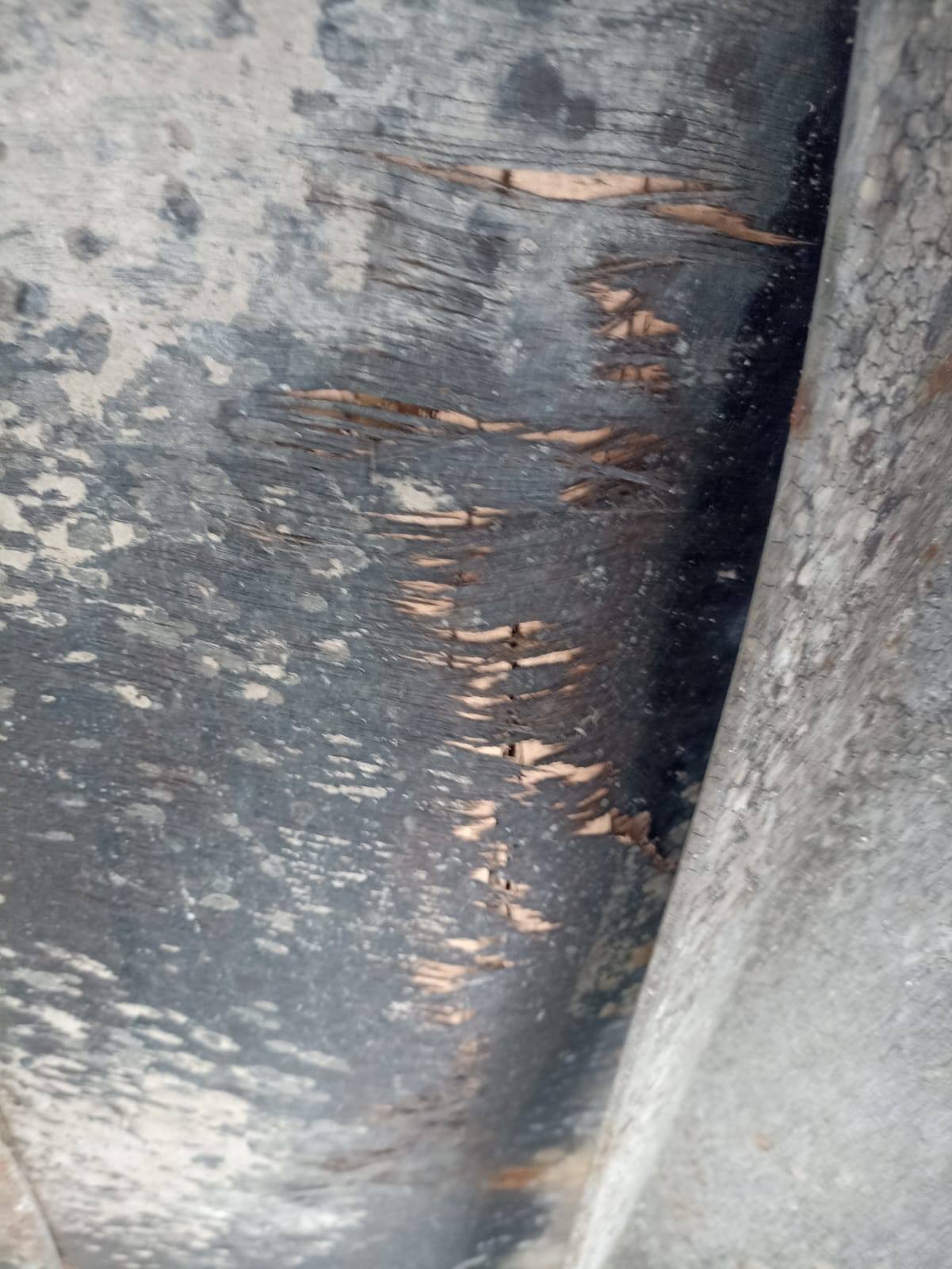 Морской контейнер TEMU2222234